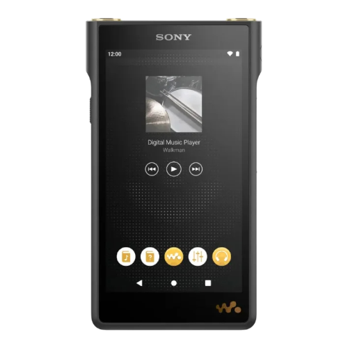 Ремонт NW-WM1AM2 Black в сервисном центре sony-remont-center